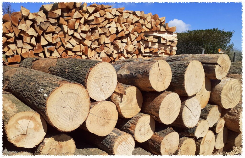 It has been announced whether there will be a firewood price freeze this year — Civilek Info