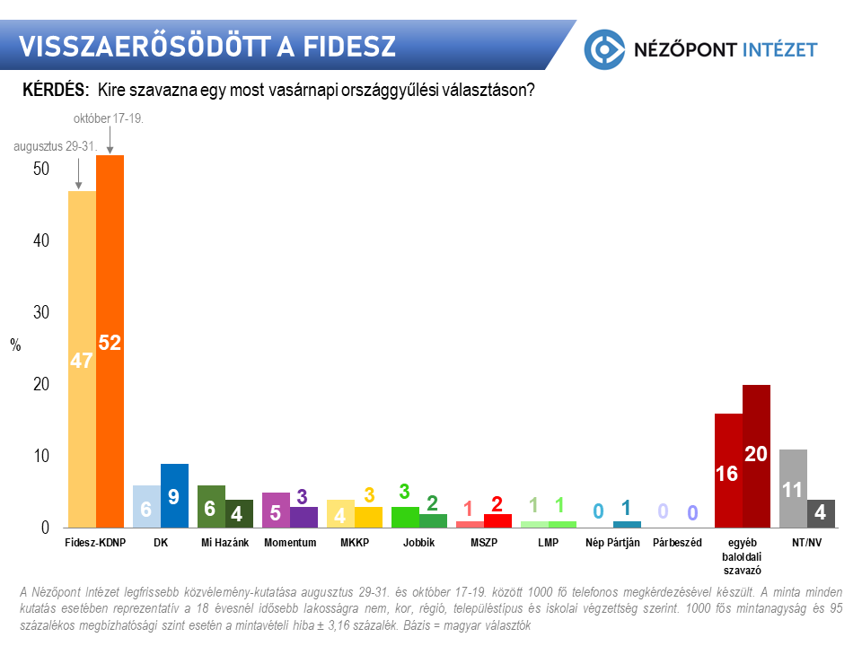 Punkt widzenia - Fidesz
