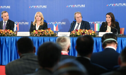 Katalin Novák: Together, the V4s are a strength, individually they are a weakness