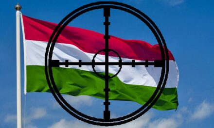 Célkeresztben a magyar zászlók, feliratok és intézményvezetők