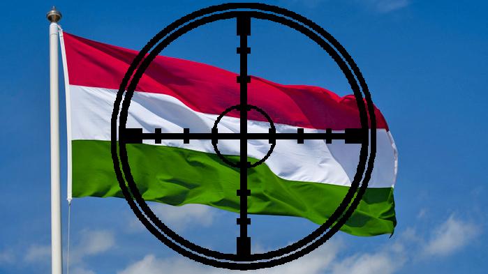 Hungarian flags, inscriptions and heads of institutions are in the crosshairs
