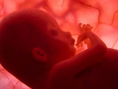 Preghiera per nove mesi per un feto
