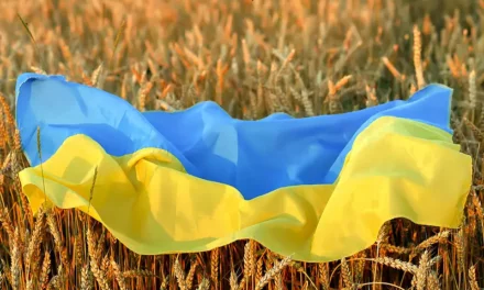 Ukrainian grain is under attack