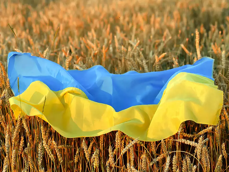 Támad az ukrán gabona