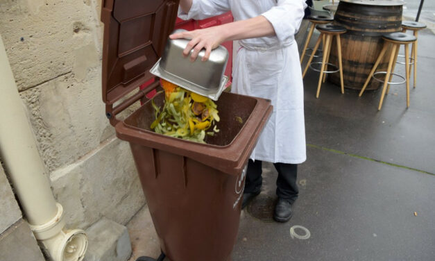 Food waste can also be collected selectively from 2024