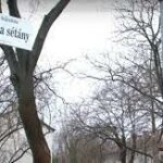 Ungváry Zsolt: A baloldal most a Horn sétányon keresi a példaképeit
