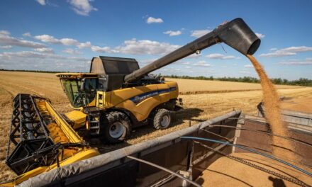 Nem csak a gazdákat teszi tönkre, de egészségre is ártalmas az ukrán gabona