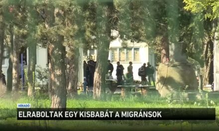 A migránsok elraboltak egy kisbabát az édesanyjától a szerbiai Obrenovácon. – Videó!