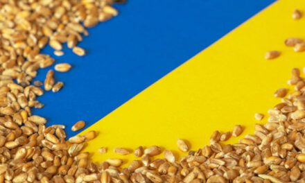 Megtiltja Magyarország a mezőgazdasági termékek importját Ukrajnából