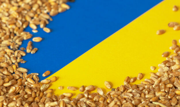 Die Polen waren ihnen wegen des ukrainischen Getreides auf den Fersen