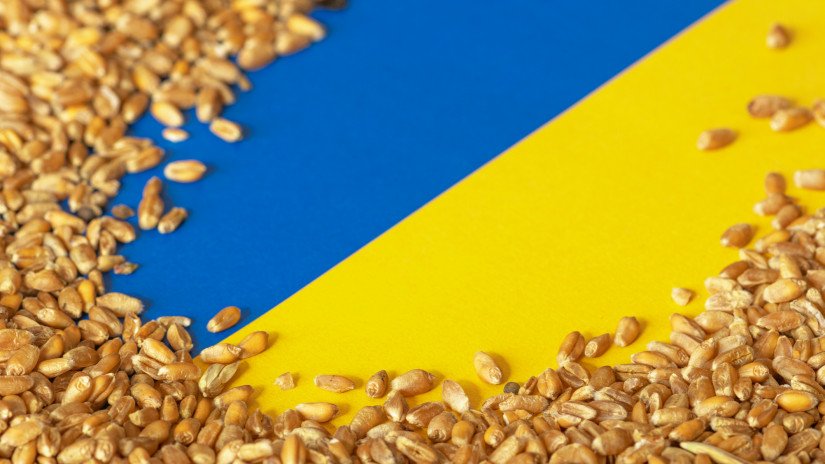 Die Polen waren ihnen wegen des ukrainischen Getreides auf den Fersen
