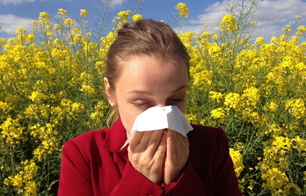 Sulle cause delle allergie in poche frasi (e sfatando un malinteso)