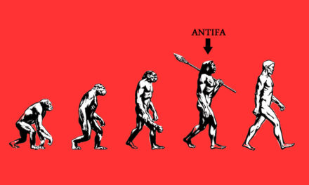 What makes antifa anti?