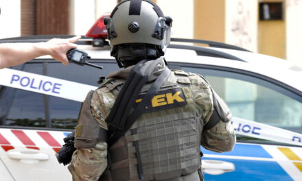 Ein Norweger, der sich auf einen brutalen Terroranschlag in Budapest vorbereitete, wurde von der TEK gefasst