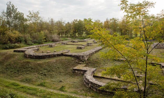 QR-kódok tájékoztatnak az Árpád-kori kolostorok évelő gyógy- és fűszernövényeiről