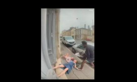 Ani Bóg, ani człowiek: migrant brutalnie zaatakował babcię i jej wnuczkę (wideo)
