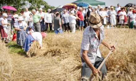 Sarud harvest festival: Where the wheat grows, there is bread and there is no need (video)