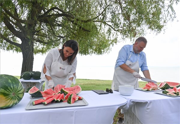 Il melone di Katalin Novák