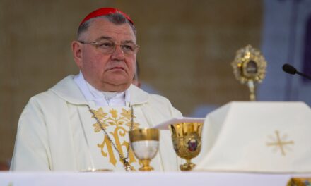 Czech Archbishop to the Hungarians: &quot;Realize, you have saved Europe&quot;