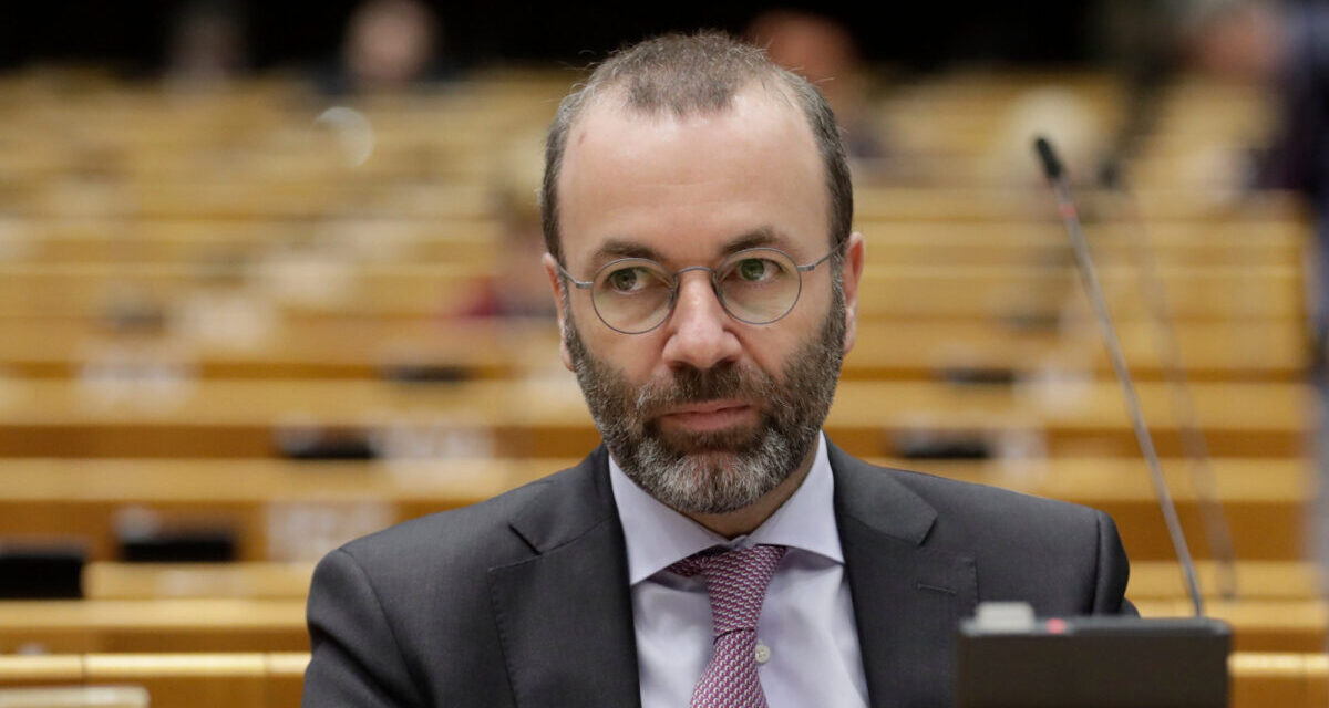 &quot;The cup is full!&quot; – the Poles were hooked on Manfred Weber 
