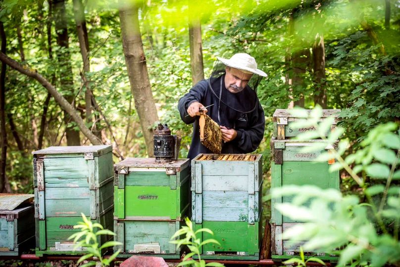 Nagy István elmagyarázta, hogy miért engedik be az ukrán mézet