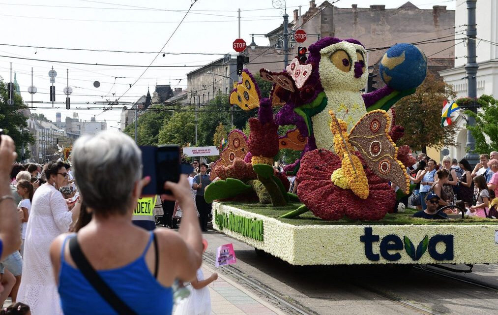 For the first time, a scented flower cart will march in the Debrecen flower carnival procession
