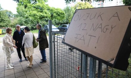 Civil városvédők akadályozzák, hogy Pécs baloldali vezetése kivágasson egy ligetet