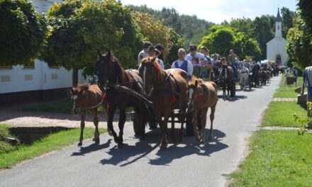 W niedzielę do Szobori przybywają na pożegnanie na wykałaczkach, kordonach i powozach konnych