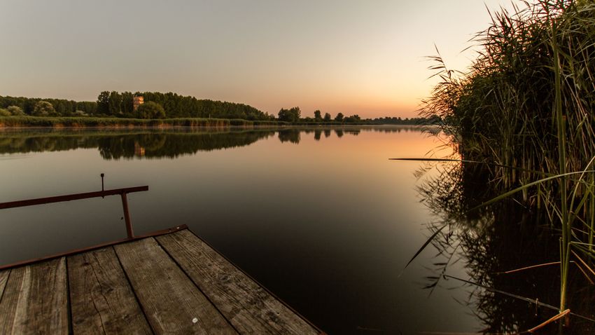 There is no place for the fish in Lake Tisza (WITH VIDEO)