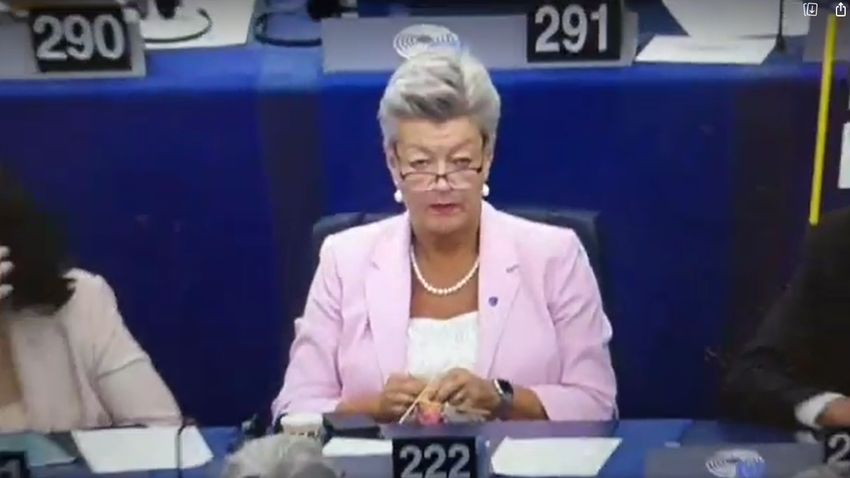 Szürreális látvány az EP-ben kézimunkázó képviselő (videó)
