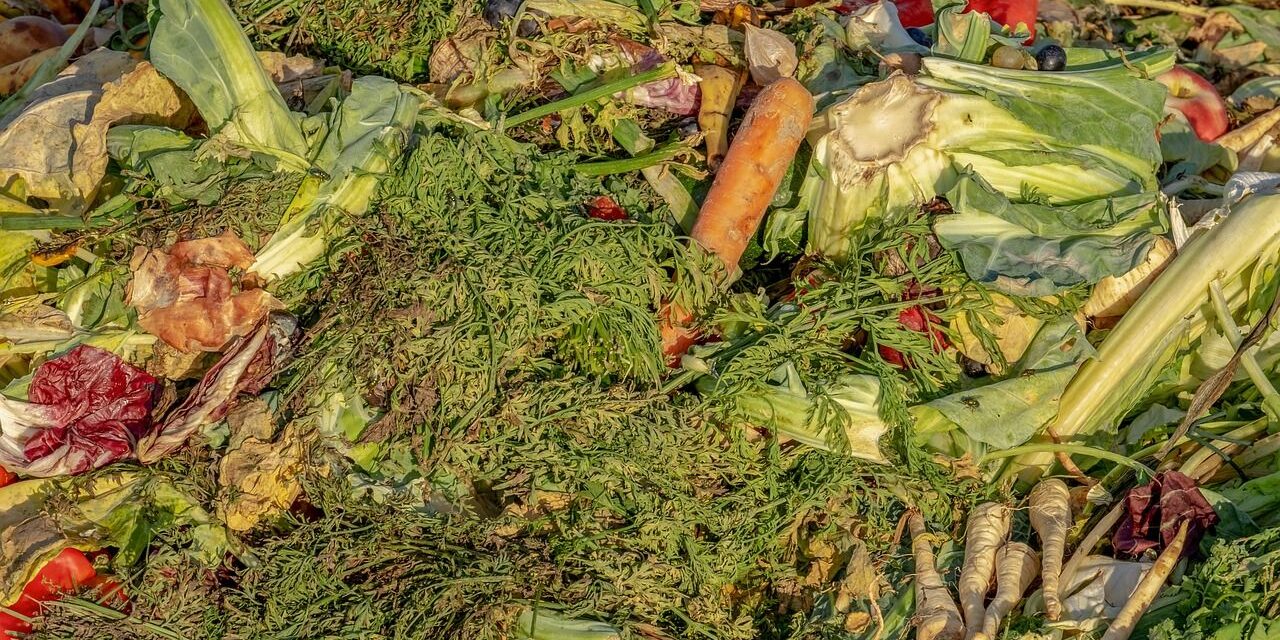 Wir werfen zu viel Lebensmittel weg, anstatt sie zu recyceln (MIT VIDEO)