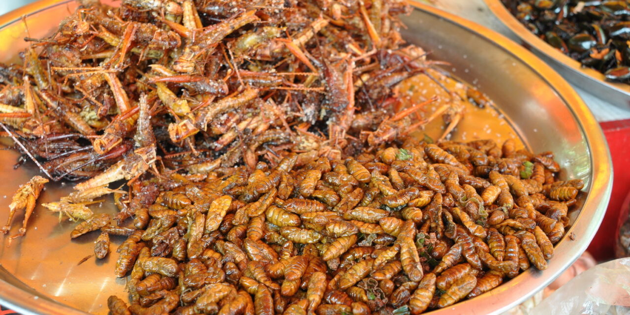 Hungarians do not eat crickets or beetles
