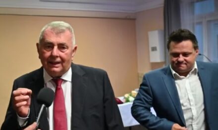 Podczas gdy burmistrz Diósd zaszczycił się sobą, jego prawa ręka potępiła krytykujących go mieszkańców (wideo)