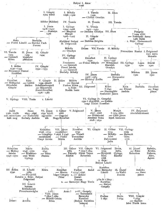 Drzewo genealogiczne Bolyai