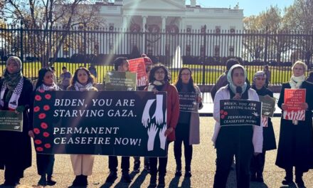 Schauspieler und Persönlichkeiten des öffentlichen Lebens befinden sich im Weißen Haus im Hungerstreik für einen Waffenstillstand in Gaza