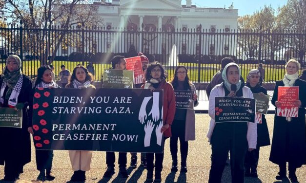 Schauspieler und Persönlichkeiten des öffentlichen Lebens befinden sich im Weißen Haus im Hungerstreik für einen Waffenstillstand in Gaza