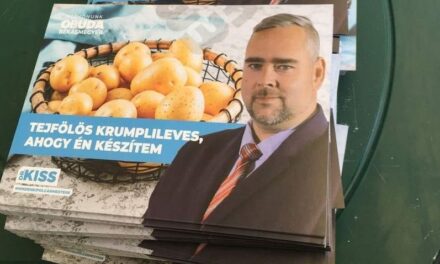 Rothadó, penészes krumplival „kedveskedett” a rászorulóknak a DK-s polgármester