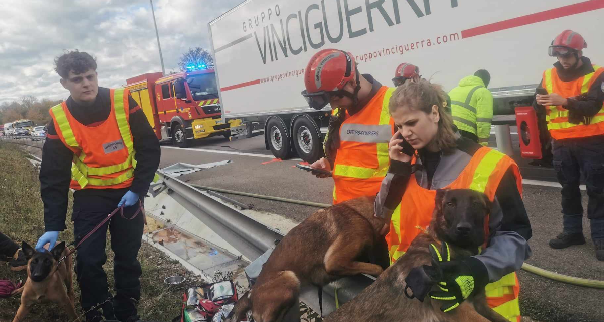 Ein toter LKW-Fahrer hat das Auto des ungarischen Rettungshundeteams zerstört