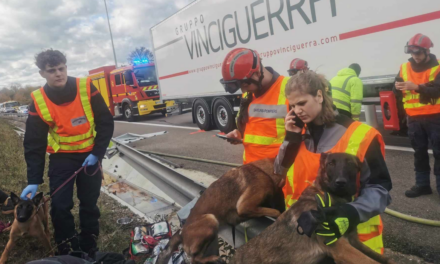 Un camionista morto ha distrutto l&#39;auto della squadra cinofila di salvataggio ungherese