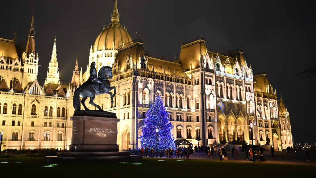 This year, the country&#39;s Christmas tree comes from Hajdúszoboszló