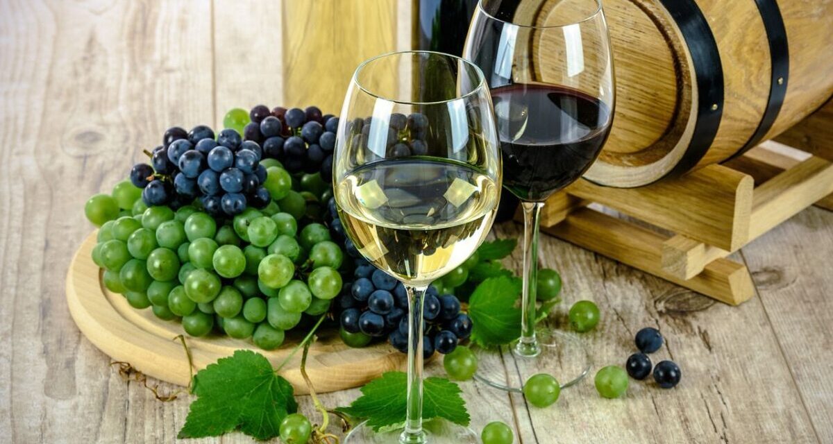 Sztuczna inteligencja węszy także piwnice z winami i odfiltrowuje tanie wino