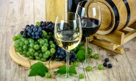 Sztuczna inteligencja węszy także piwnice z winami i odfiltrowuje tanie wino
