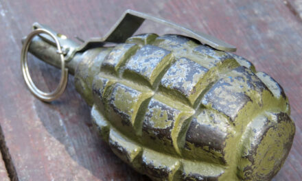 A grenade was thrown into the yard of a county representative in Munkács