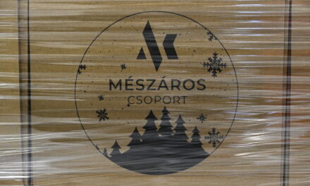 Die Mészáros-Gruppe half Bedürftigen mit Hunderten Millionen Forint
