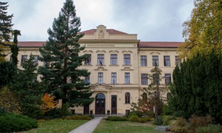 Non è niente: il metodo di gestione dei rifiuti elettronici dell&#39;Università di Sopron è diventato leader mondiale