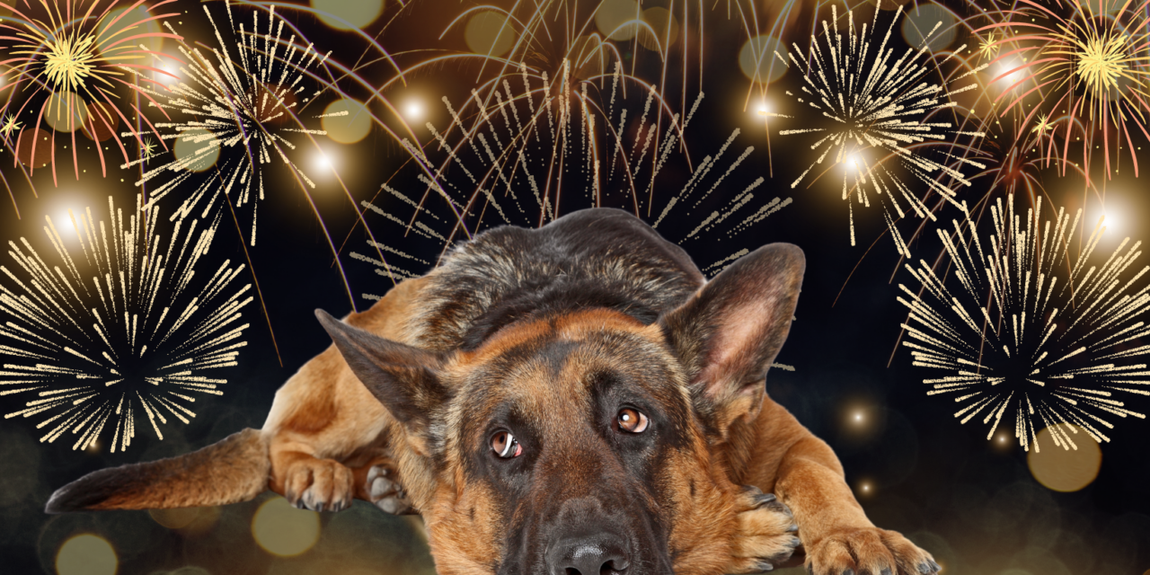 Péter Ovádi: Let this year&#39;s New Year&#39;s Eve be animal-friendly!