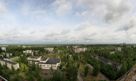 To, co odkryto w Czarnobylu, jest sprzeczne ze zdrowym rozsądkiem