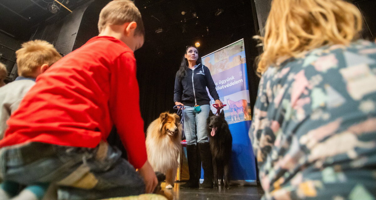 I civili insegnano ai bambini la protezione degli animali in un teatro
