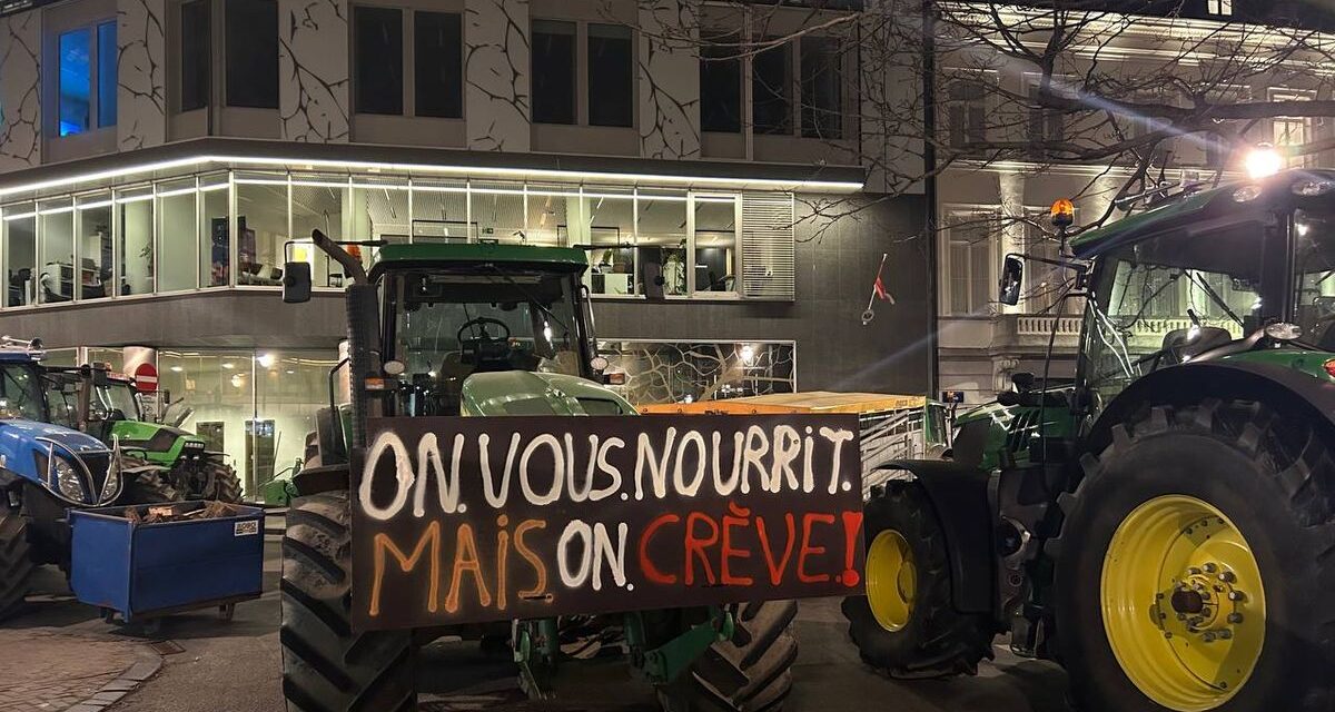 Die wütenden Bauern, die nach Brüssel marschieren, fragen nicht nach dem falschen Text