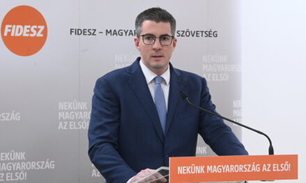 Máté Kocsis: Wir schlagen eine Änderung von zwanzig Gesetzen im Paket der Kinderschutzgesetze vor